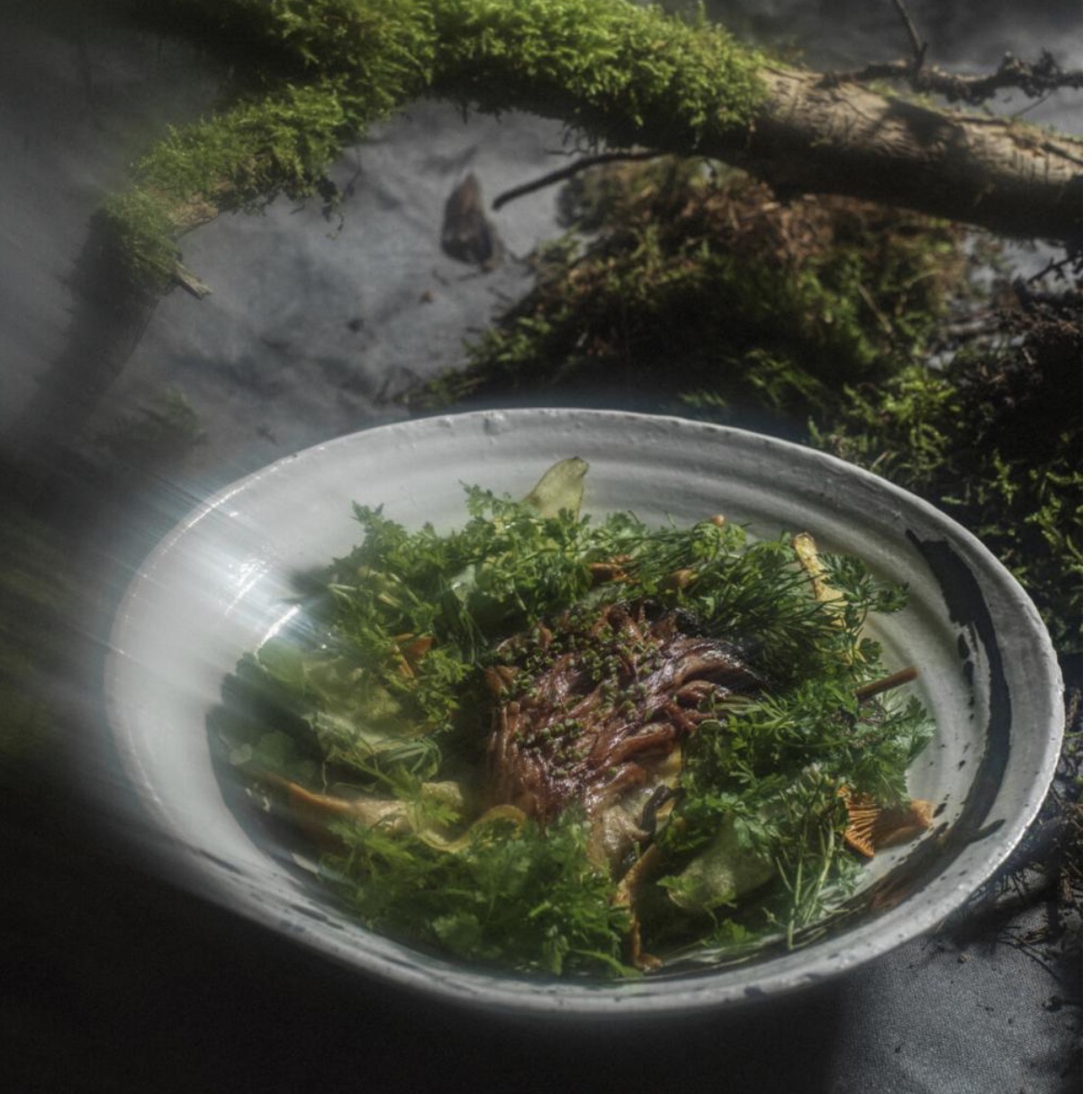 Fungi DNA – A forest-inspired multisensory dining experience Sami Tallberg_byTuukka Koski