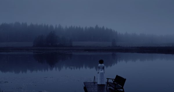 Aishe Vejdani, Fog