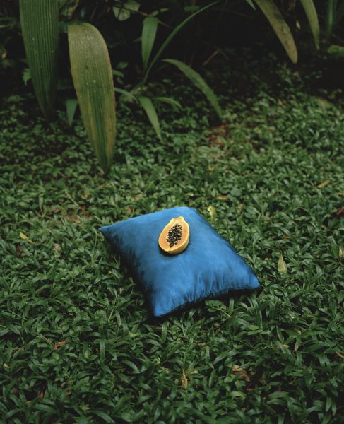 Photograph of a papaya fruit on a pillow in nature, as part of the photography project Are We There by Jenni Toivonen.